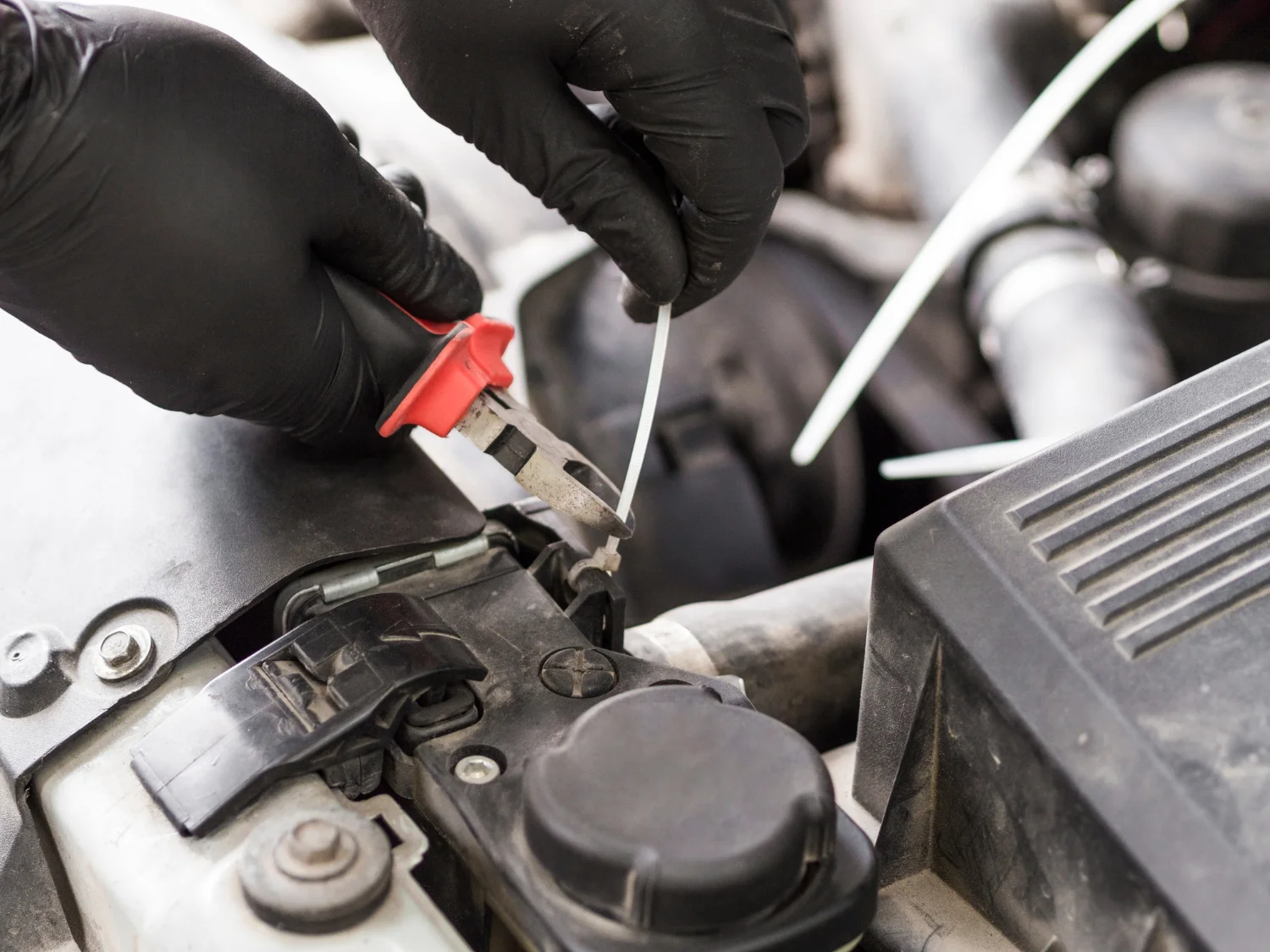Checking Car Battery, Fluids, and Engine Components